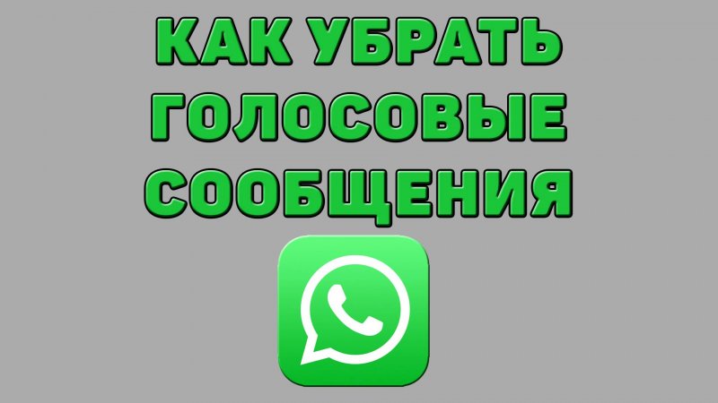 Как убрать голосовые сообщения в Ватсапе