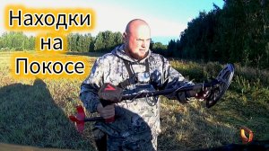 Поиски артефактов на покосе: находки из прошлого