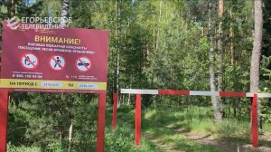 В Егорьевском лесничестве запретили посещение лесов из-за экстремальной пожароопасности.