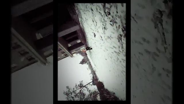 Пиковая дама: чёрный обряд. Мини фильмец! Страшилки #1 смотреть онлайн