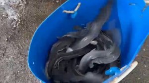 29.05.25 г. Парк отдыха водопад