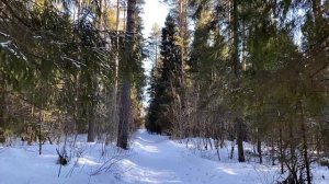 ПУСТЬ ЖЕНА ТВОЯ КВАРТИРУ ПРОДАЕТ, БУДЕМ СЕСТРЕ КВАРТИ?
