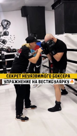 База для всех боксёров‼️