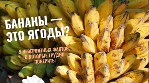 9 ШОКИРУЮЩИХ фактов о бананах, которые вы НЕ знали!