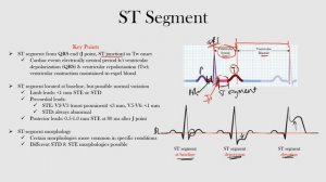 21.ST Segment
