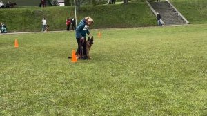 4 Отл. Toksenhof FINA №88 / КЧК+ БОРИСОВ (BY) 17 мая`25 M.Jovovic Моно нем.овч.