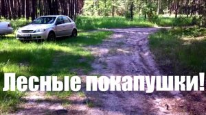 Обычный лес порадовал находками 👌❗