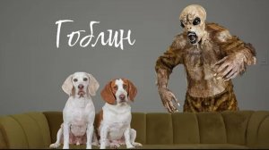 Страшилки собачки против гоблина