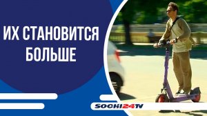 В Сочи аварии с электросамокатами участились: семь пострадавших за год, рискуют и туристы!