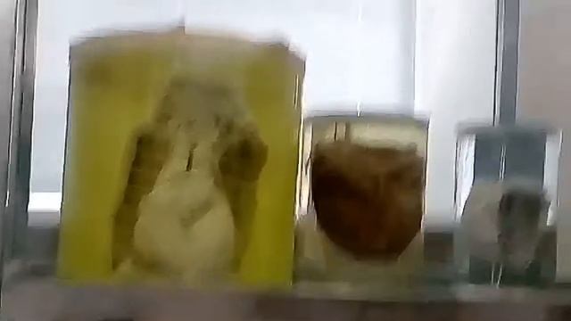 Ужастик...18+ смотреть онлайн