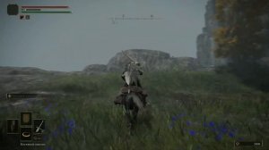 Elden Ring - Берег Озёрной Лиурнии. Адан вор огня. Поиск винограда Шабрири для Хёйтты.