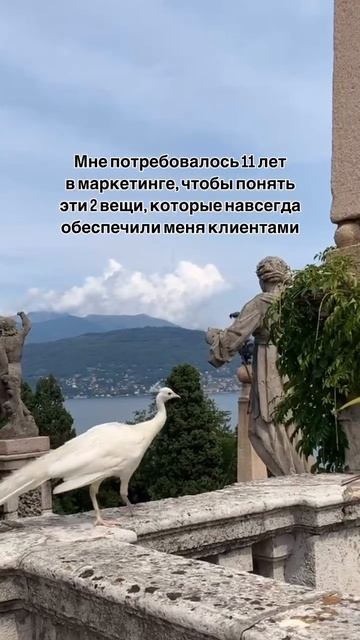 🧠Психологические лайфхаки, которые помогут сделать большой рывок в твоем деле #продажи