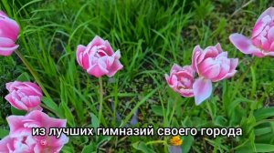 Свекровь со свёкром решили забрать квартиру невестки.