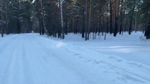 4 пары прайд Даймонд 8 в3 от амп калибр 2.1700