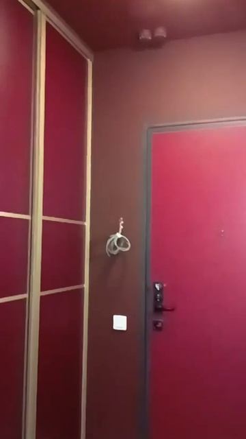 Видео WhatsApp 2025-05-22 в 12.18.28_a8a7e5ac