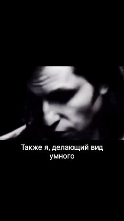 #маифест95