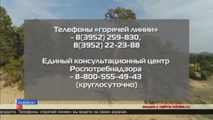 «Горячая линия» по туристским услугам   28.05.2025