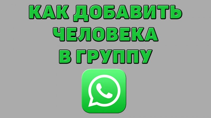 Как добавить человека в группу в Ватсапе