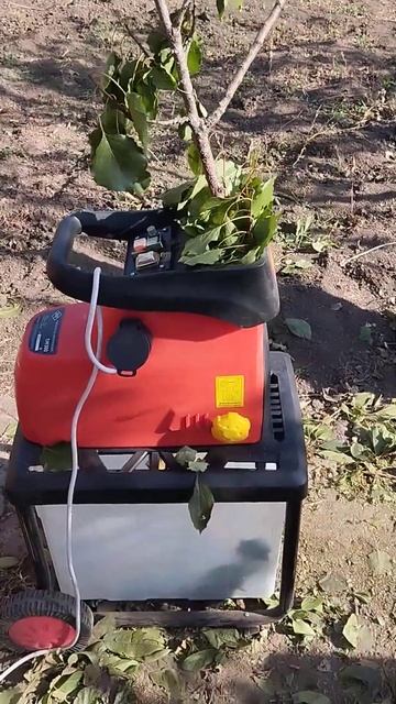 Измельчитель DDE SH300 смотреть онлайн