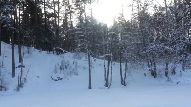 Pro Diving Club. 24.02.2017. Дайвинг и сноуборд смотреть онлайн