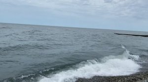 Адлер, гостевой дом с бассейном// май 2025