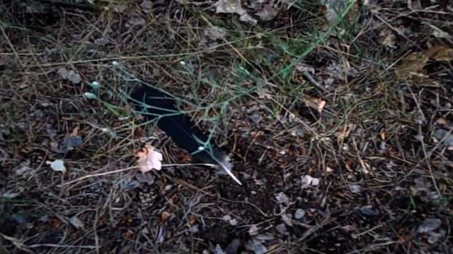 КУПИЛ КВАРТИРУ НЕДВИЖИМОСТЬ ПЕРЕЕЗЖАЮ