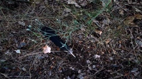 КУПИЛ КВАРТИРУ НЕДВИЖИМОСТЬ ПЕРЕЕЗЖАЮ