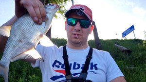 Рыбалка на Шоше у ленинградки Рыба проснулась