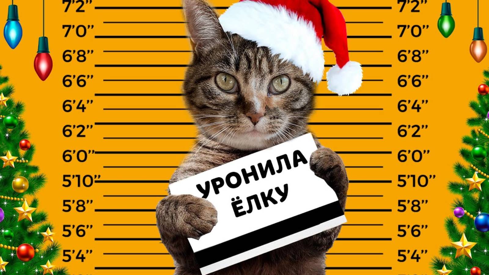 НОВОГОДНИЕ МЕМЫ от ПОДПИСЧИКОВ А НУ КА ДАВАЙ КА ! СМОТРИМ ВАШИ ПРИКОЛЫ!