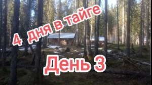 4 дня в тайге День 3. Строим новую избу.
