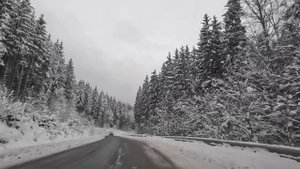 Свекровь и муж решили отдать её квартиру брату, но тих?