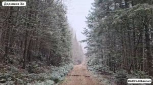 Любовь моя, Мастигуш! Два хайкинга по 40 км. Почему я люб