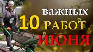 10 важных дел в июне на огороде и в саду. Чем подкормить растения в июне