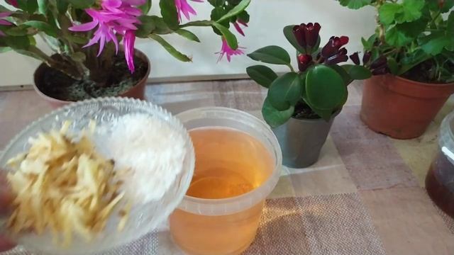 После ЭТОГО цветы ЦВЕТУТ как сумасшедшие смотреть онлайн