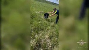 Сотрудники ГИБДД провели необычную операцию.