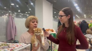Мы в ответе за тех, кого приручили