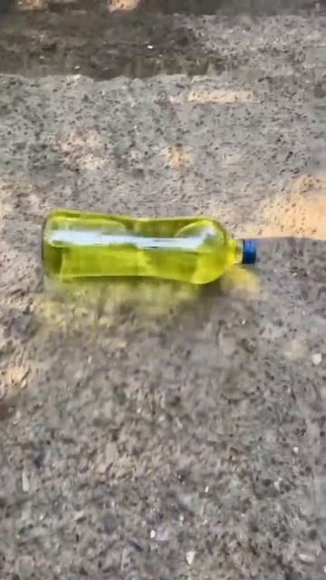 Бутылки с лестницы! смотреть онлайн