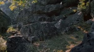 Огонь, вода и медные трубы  (1967)