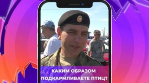 Соль-опрос про способы подкармливания птиц_28.05.2025_СольТВ