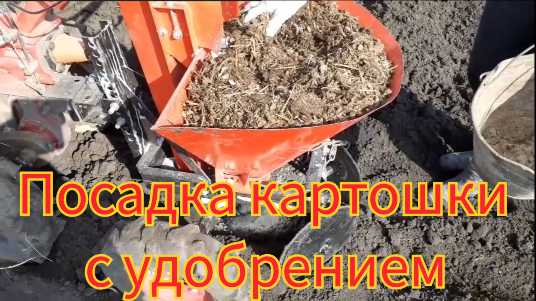Посадка картошки, картофеле сажалкой в паре с мотоблоком. Сажаем и сразу удобряем.