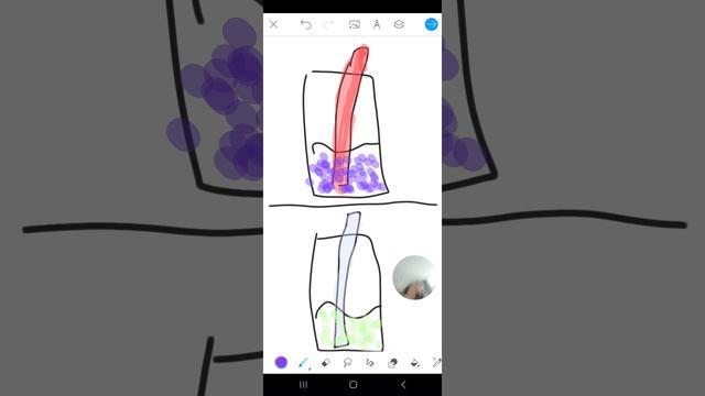 рисую кактель