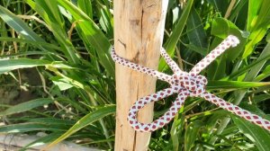 In everyday life! Perfect knots for all occasions