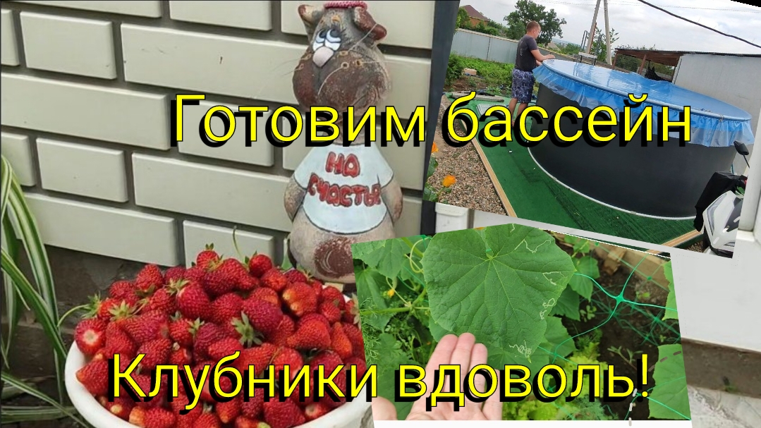 Клубники вдоволь 👍🏼🍓 Готовим бассейн к сезону 🏊🏼♀️🫧💧 Опять проблема в теплице 🫣