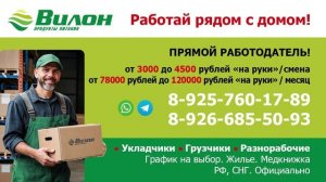 ТРАНСМЕДИА - Вилон