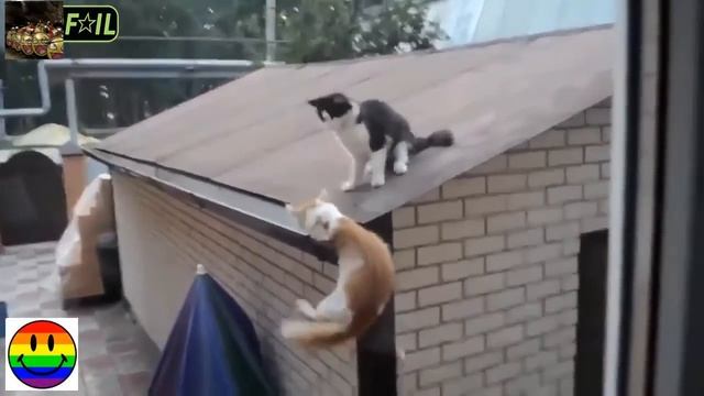 Убойные приколы 2 смотреть онлайн