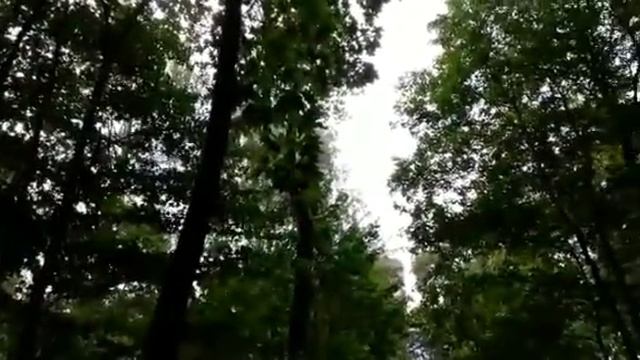 Жизнь как белый лист смотреть онлайн