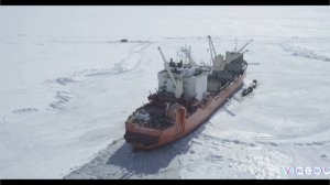 Судно Юрий Аршеневский проекта SA-15, хроники...