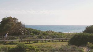 Музыка, от которой мурашки бегут по коже - это невероятно! - From A Distance -- Eyelids -- Live at M