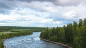 Я отказалась пустить свекровь в свою добрачную кварти