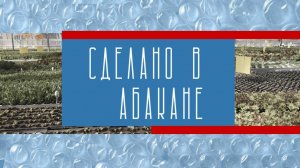 Декада предпринимательства в Абакане